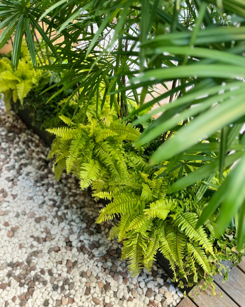 毛起來喫寵物友善居酒屋-寵物友善長槽植栽