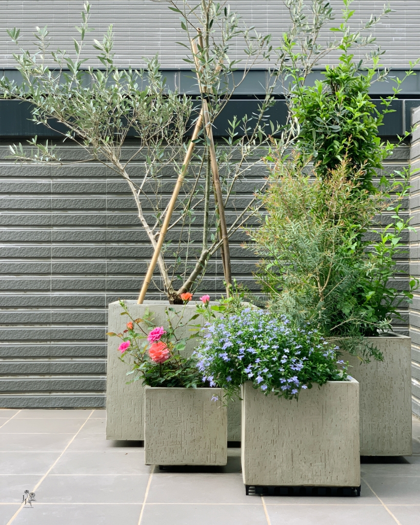 莊府-居家空間植栽規劃