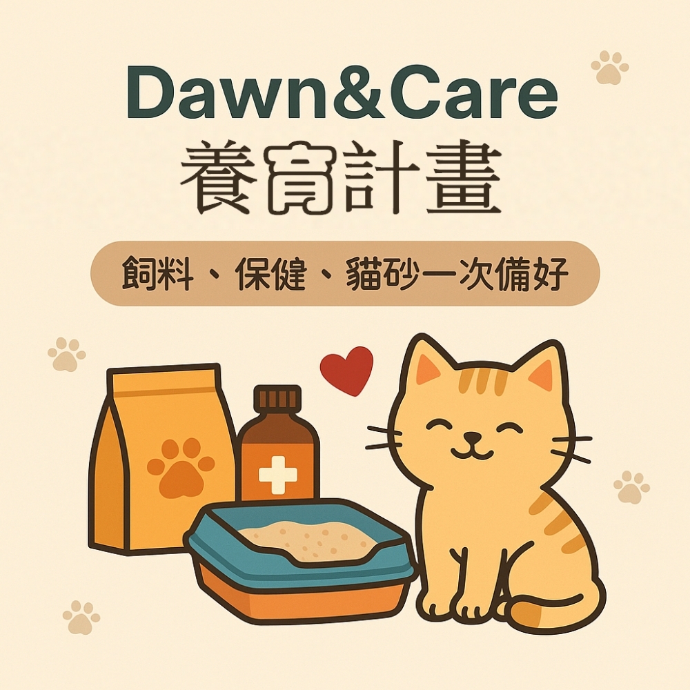  養育計畫｜板橋區當