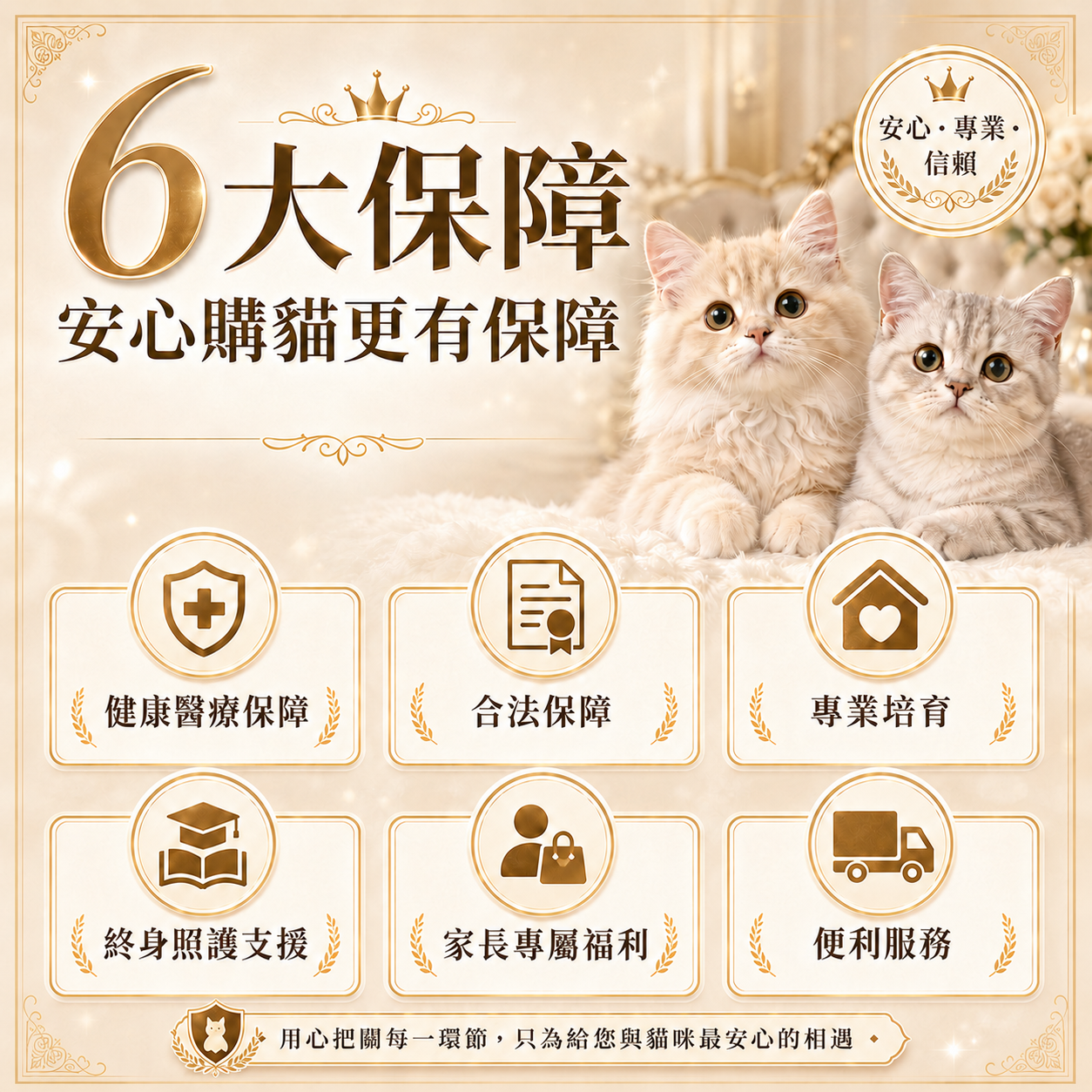 6大保障說明