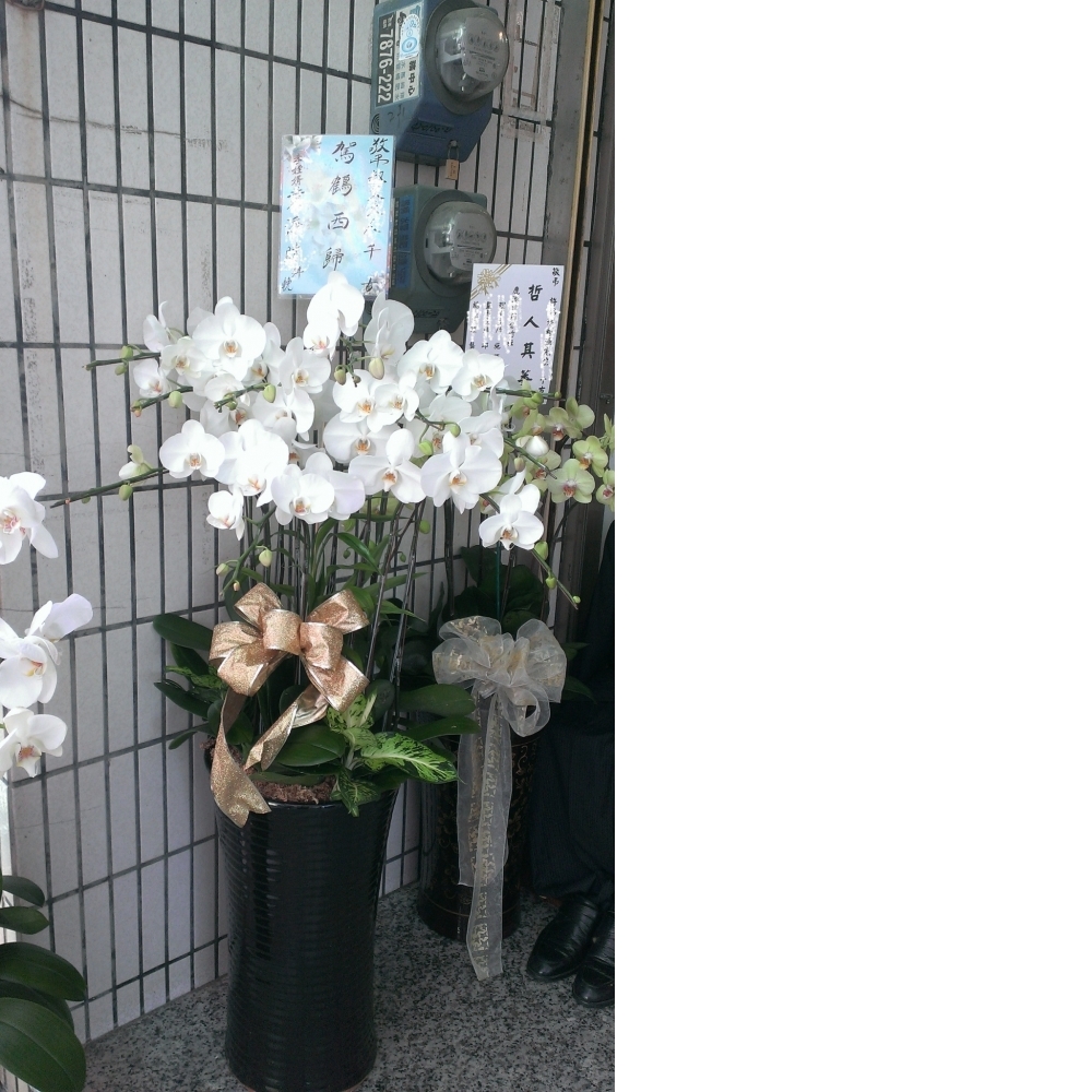 花籃