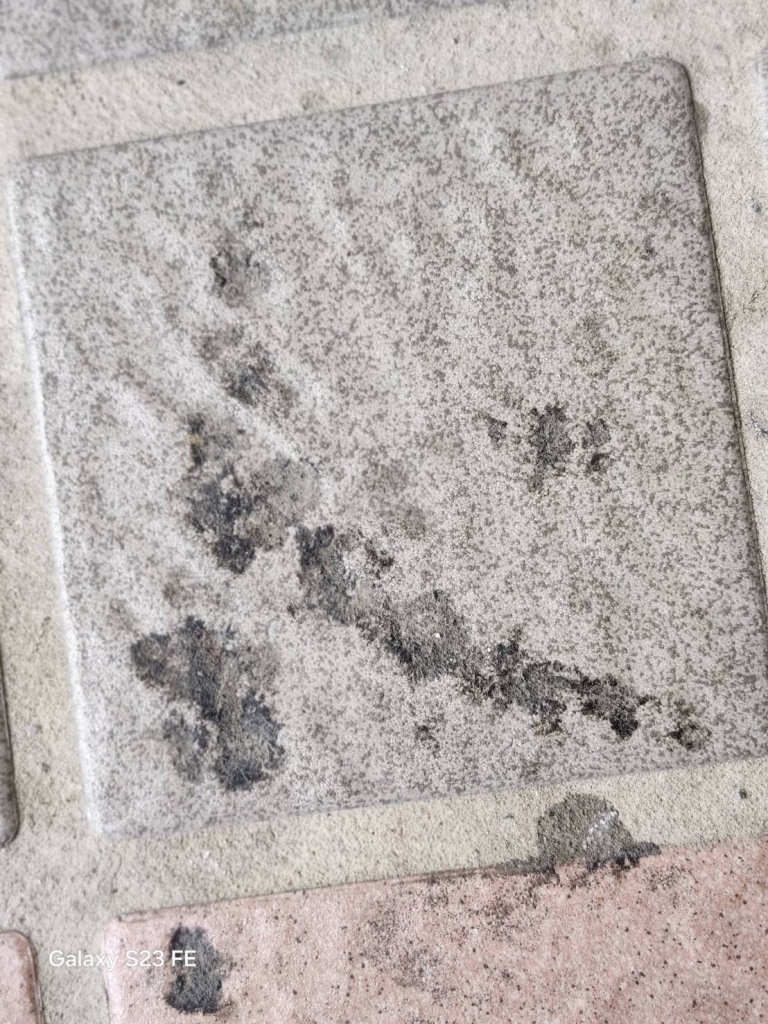 磁磚清潔
