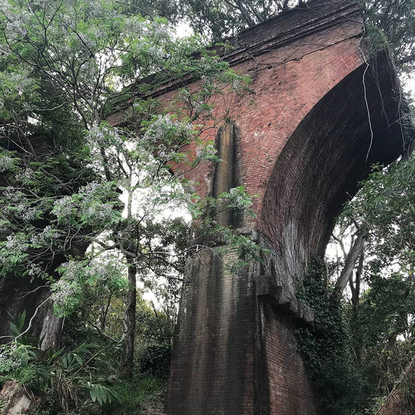 苗栗包車旅遊