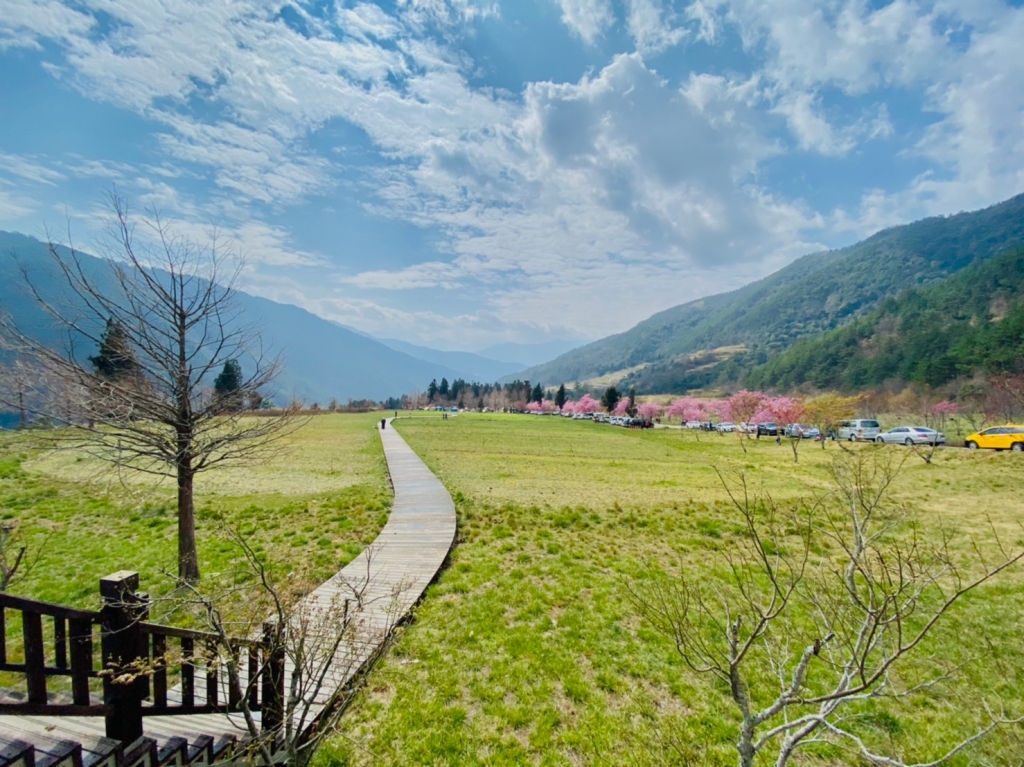 台中包車旅遊
