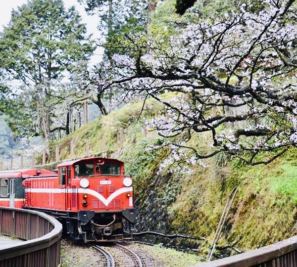 嘉義包車旅遊