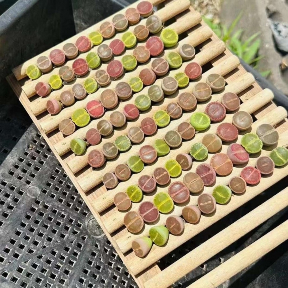 石頭玉