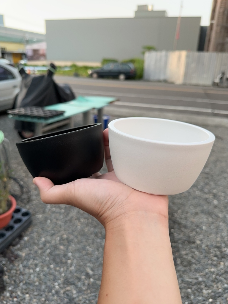 塊根桶盆塊根桶盆(矮桶盆、矮缽盆)