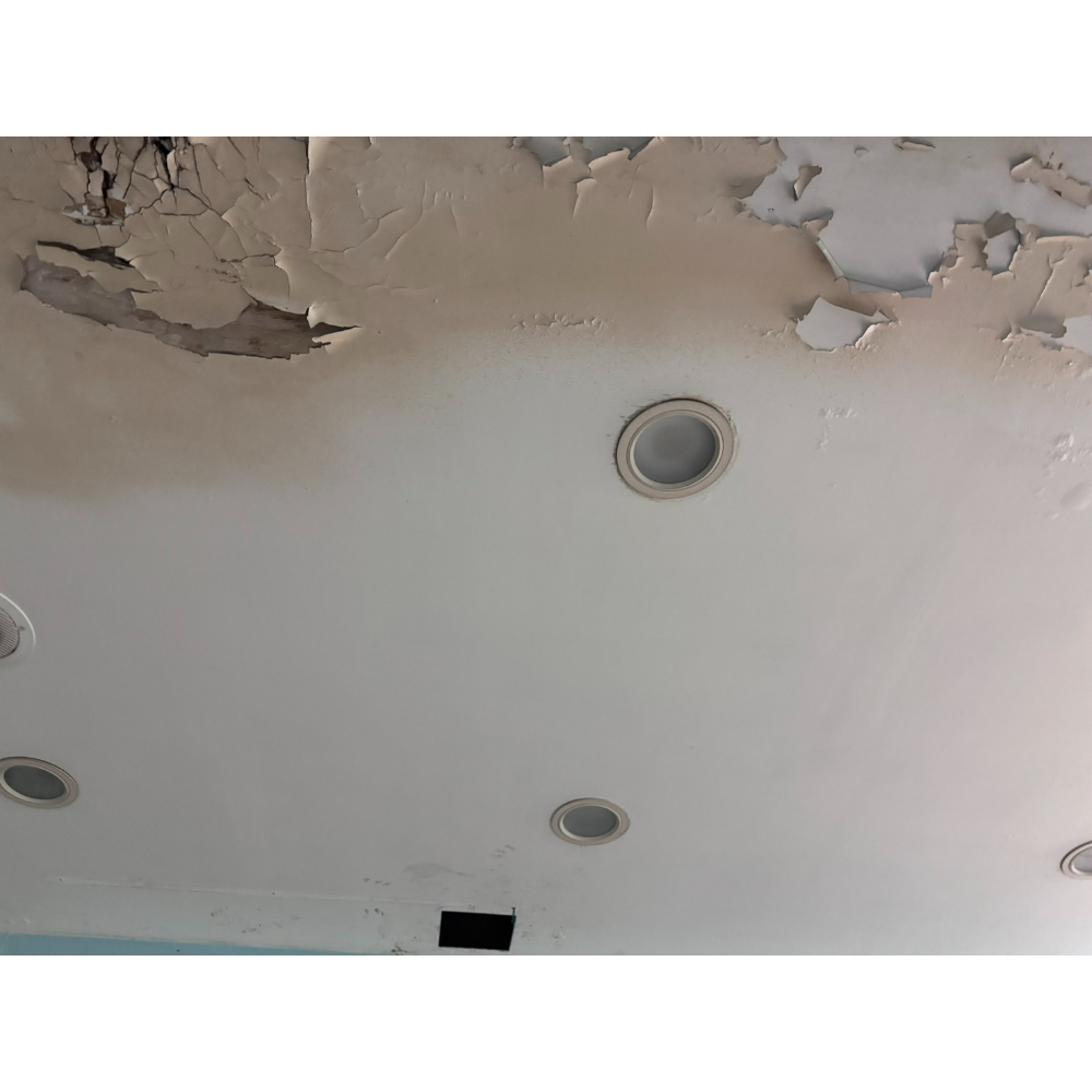 台北拆除工程-信義區拆除感謝台中設計師