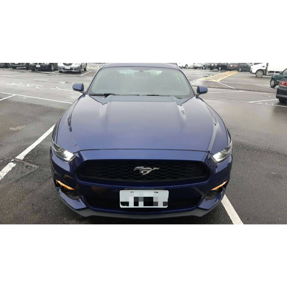 Mustang 出租/租賃 (藍、紅)