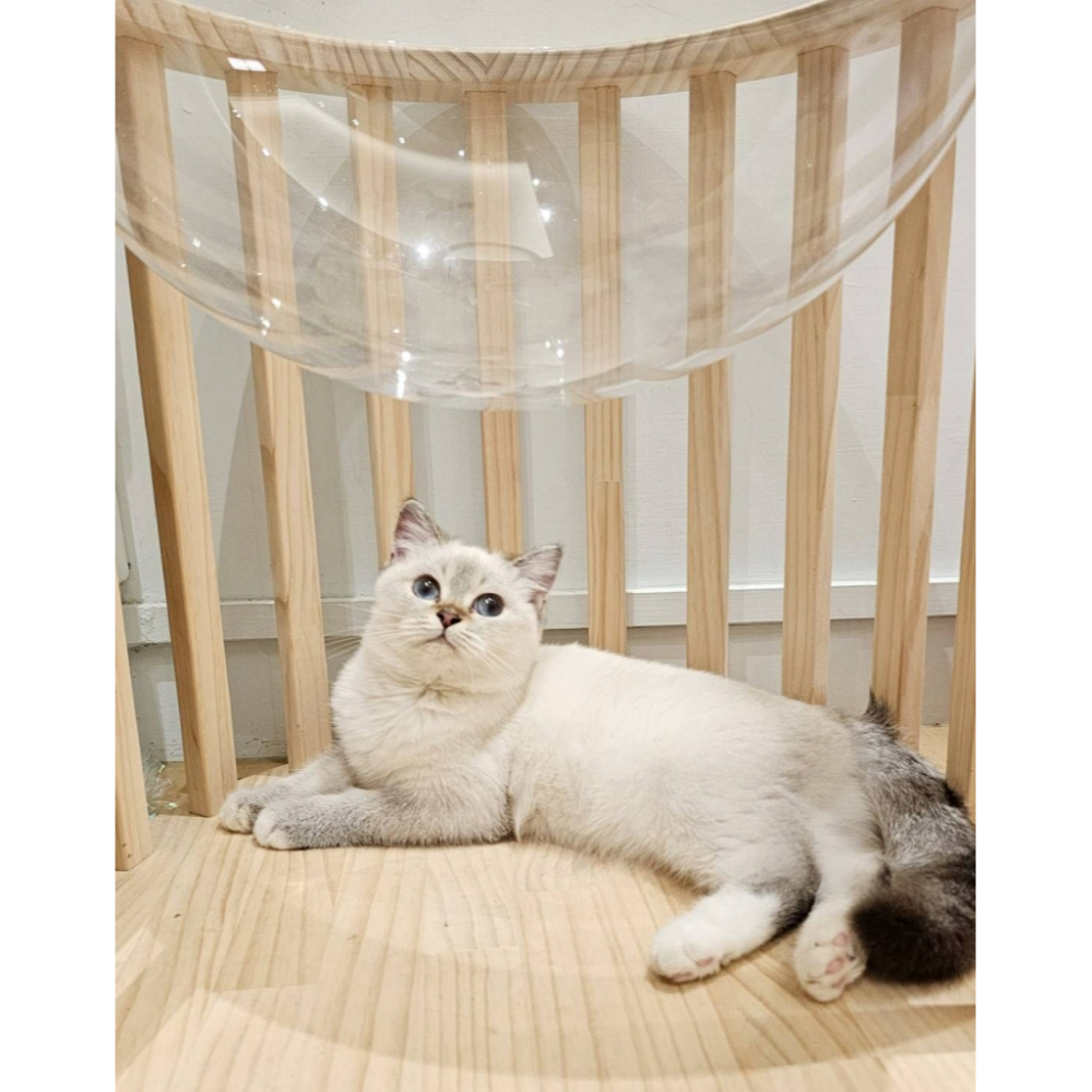 重點色 妹妹112.