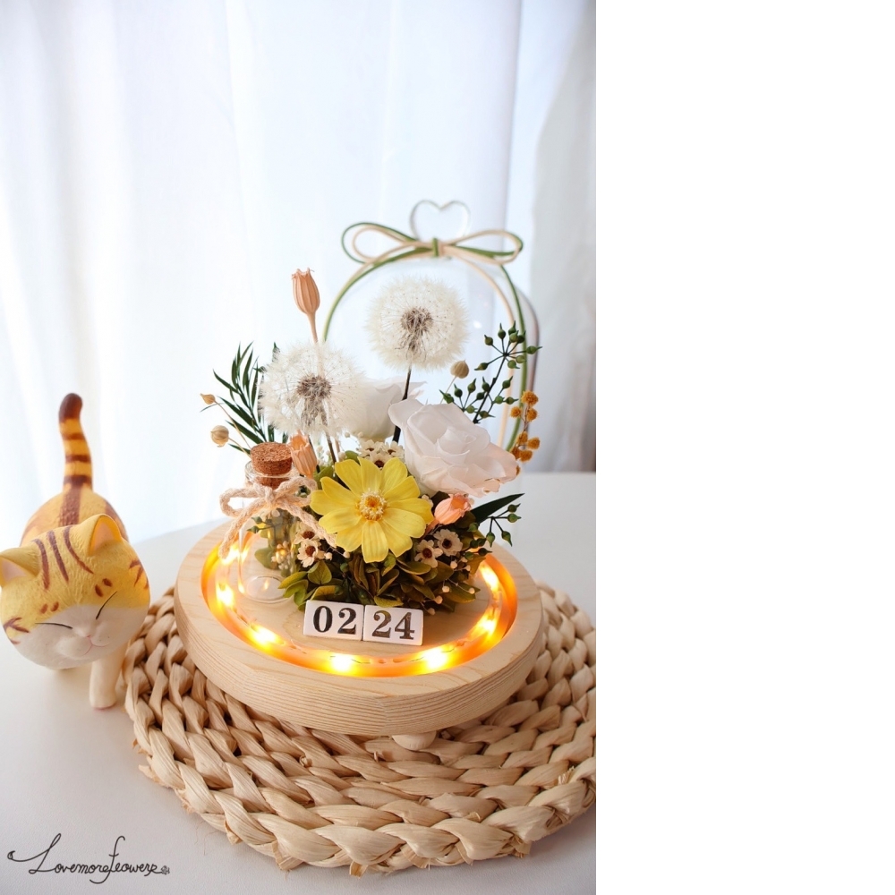 蒲公英守護愛守護幸福花盅