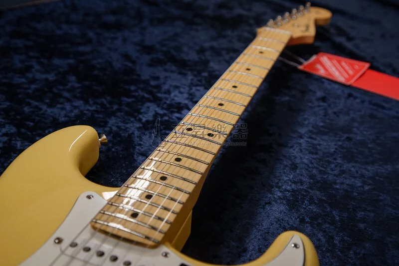 Fender Player Stratocaster MN BCR 單單單 小搖座 兩點式搖座