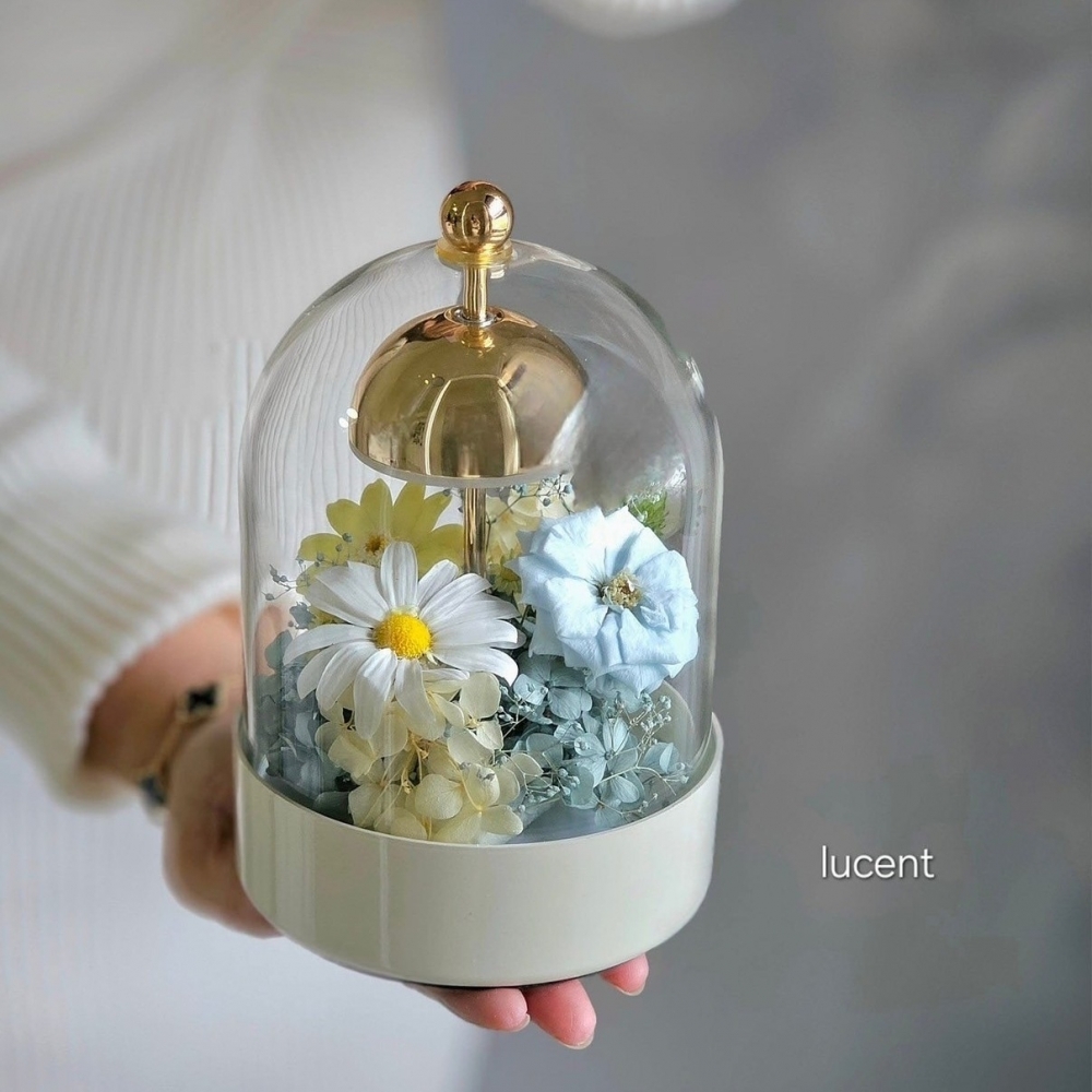 《IFA初級證書》#IFA鮮花證照 #IFA不凋花證照 #IFA花藝軟裝師證照 #IFA協會