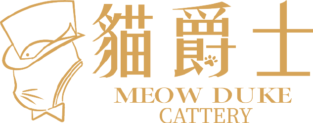 貓爵士精品貓坊-英短貓舍,台北英短貓舍,三峽英短貓舍