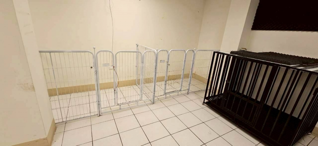 B1汪汪區(❍ᴥ❍ʋ)