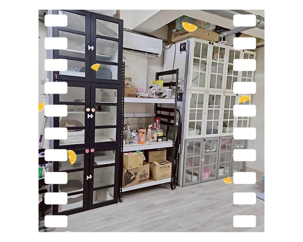 B1喵喵區(*´꒳`*)