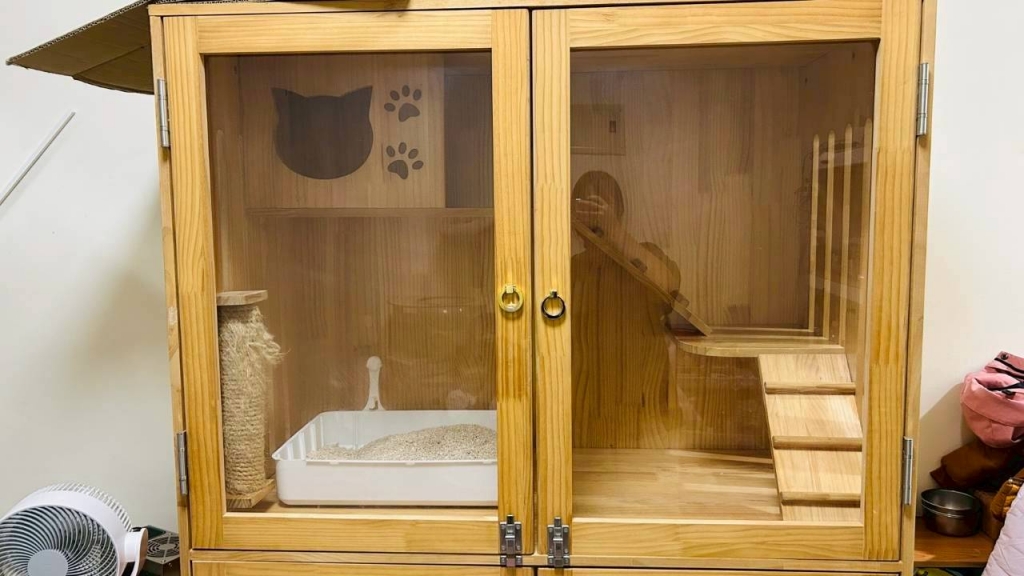 1樓喵喵區(*´꒳`*)