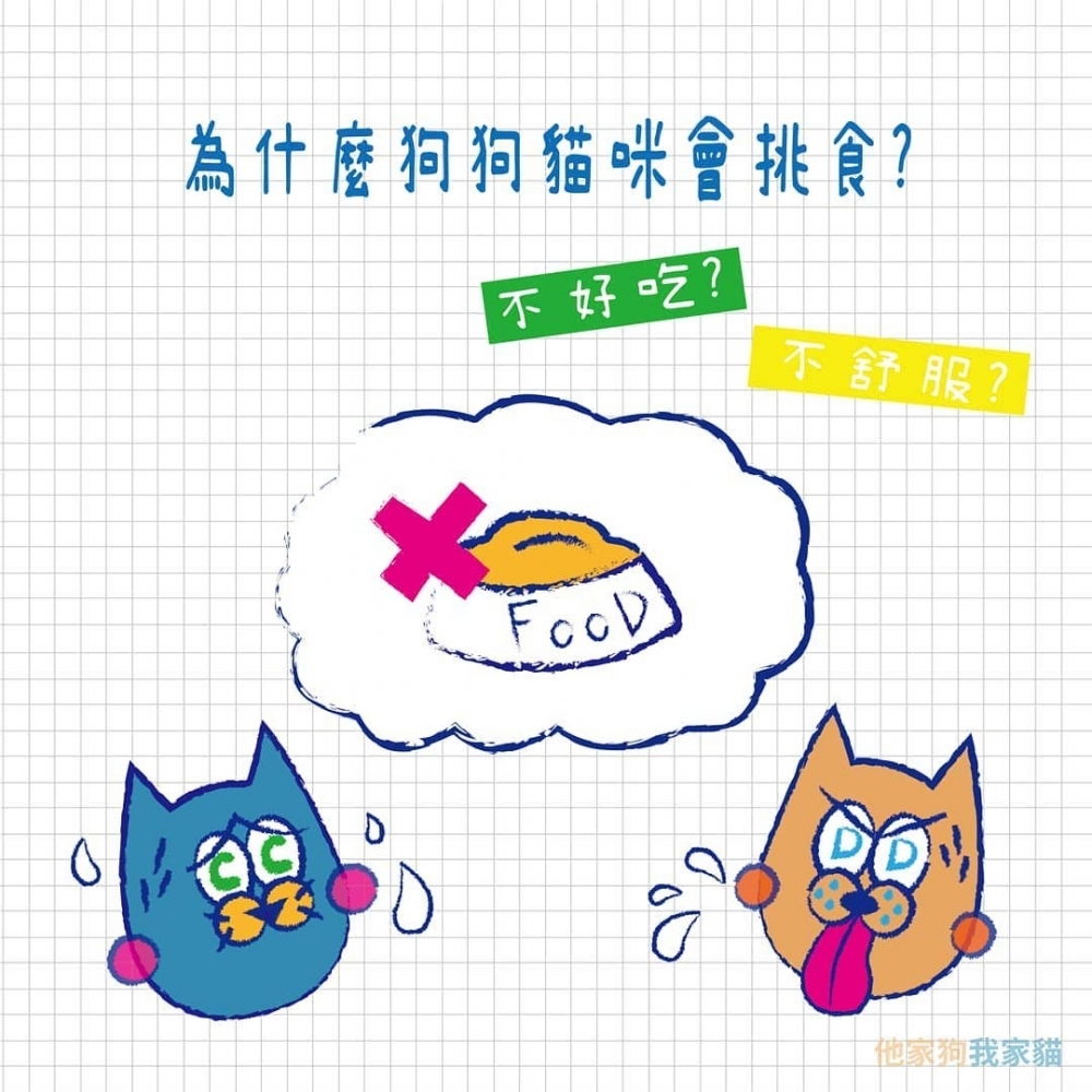 狗狗貓咪為什麼會挑食
