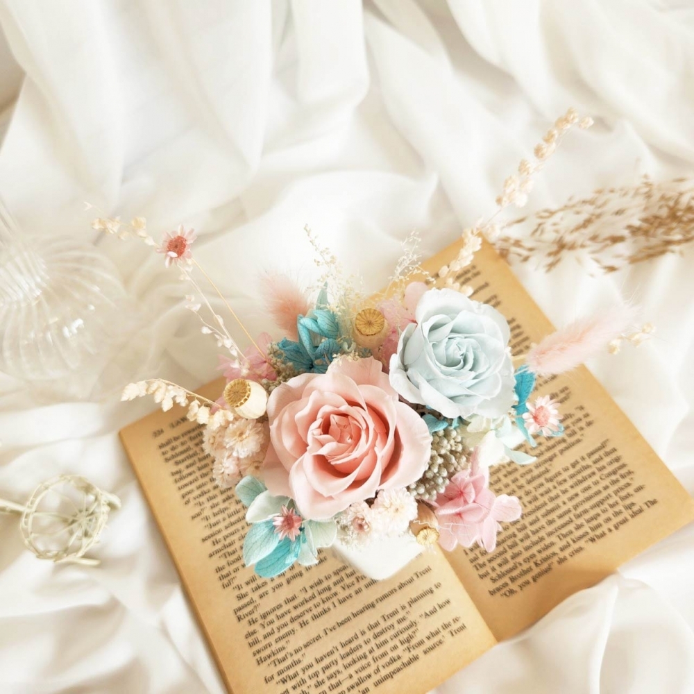 多角盆花(粉藍款)