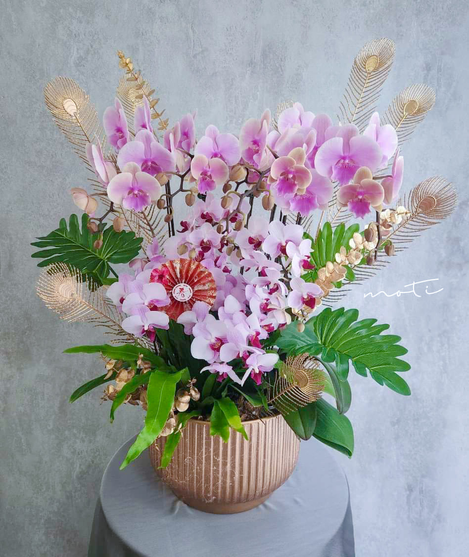 蘭花組盆(大)