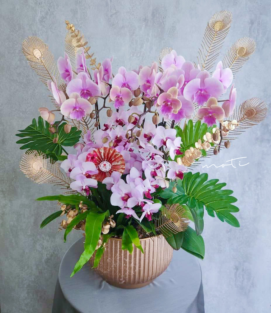 蘭花組盆(大)