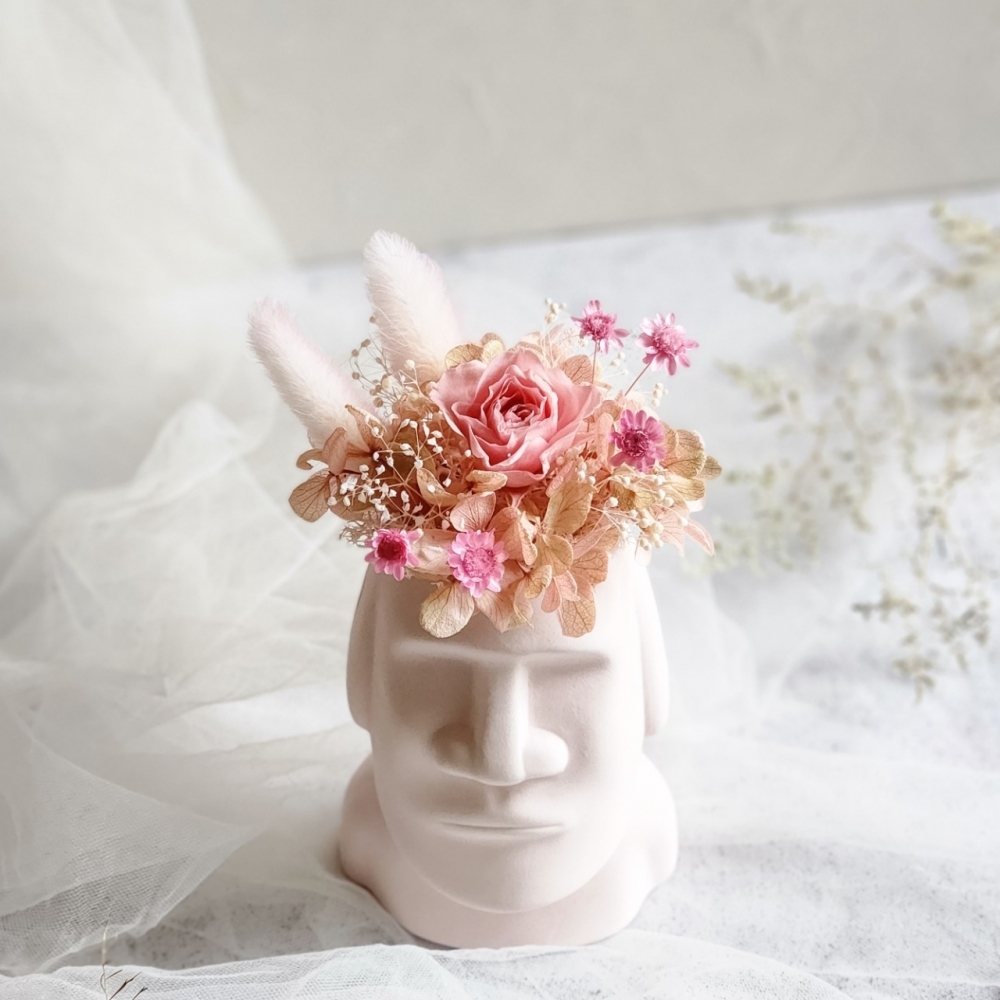 摩艾盆花(一般款；粉橘色、粉桃色)