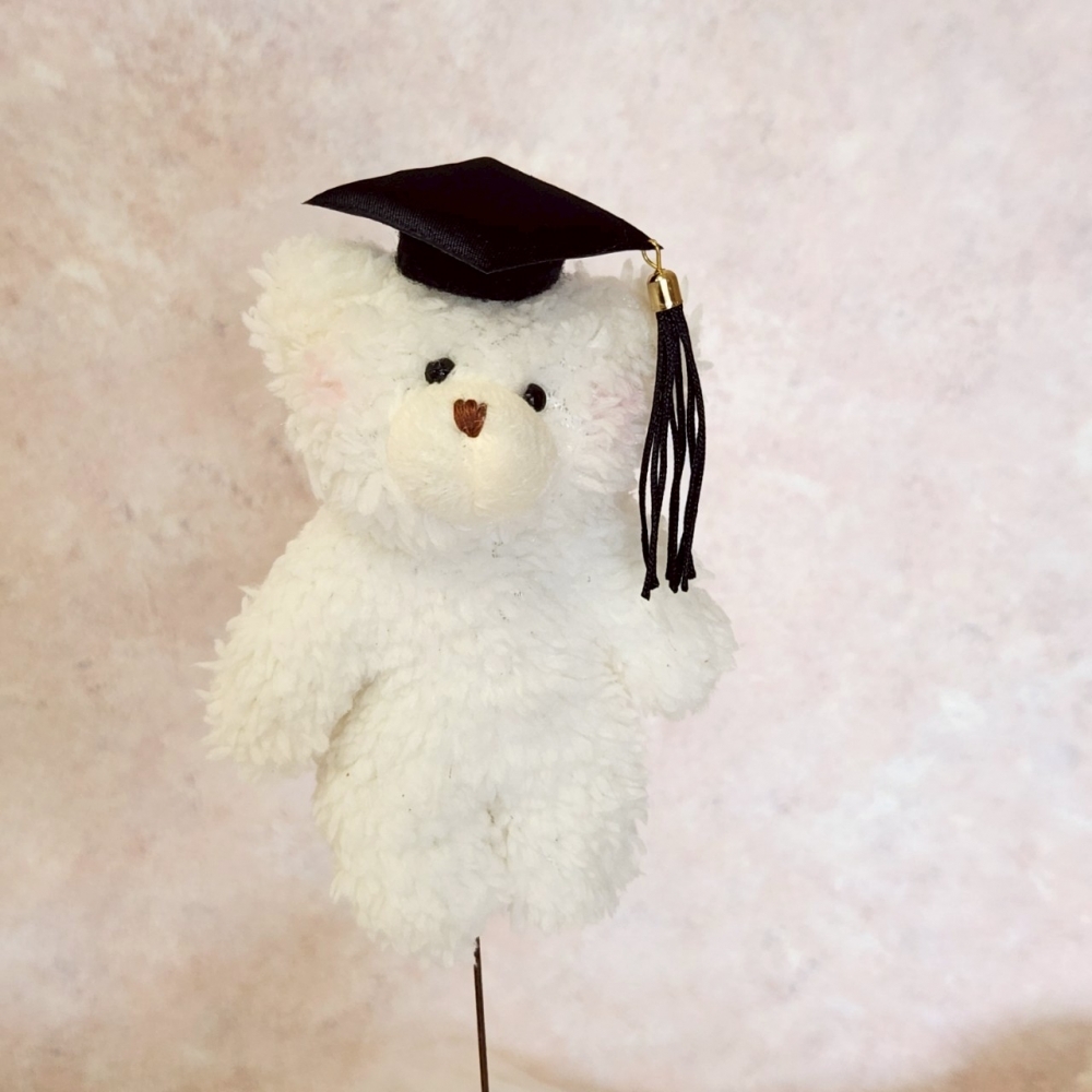 以優惠價升級畢業小熊公仔花束 (請與花束一起下單)