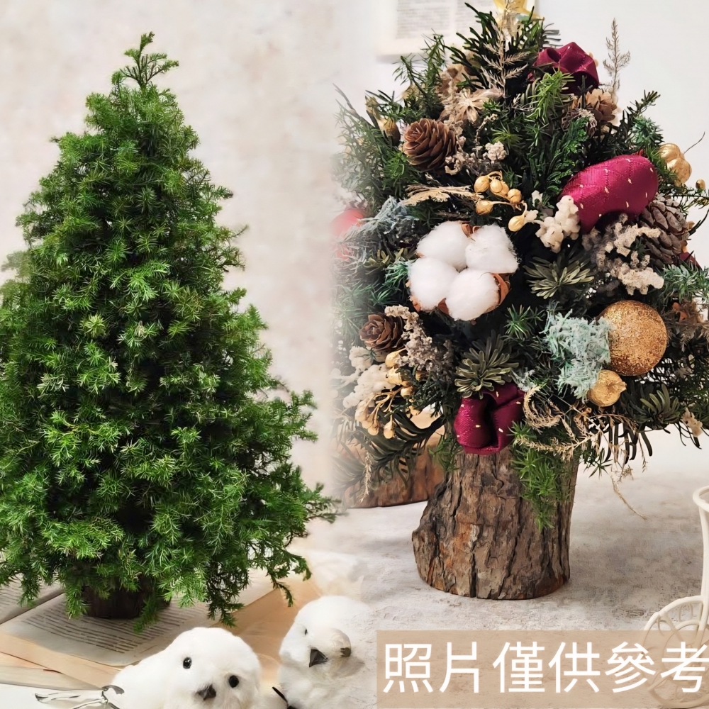 永生雪松聖誕樹30公