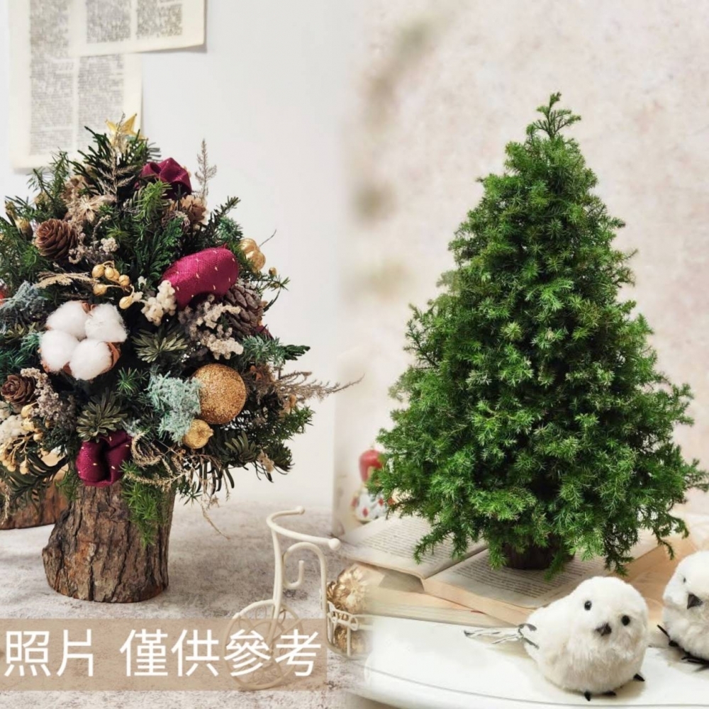 【材料包】抹茶森林聖誕樹30公分|純樹無裝飾品