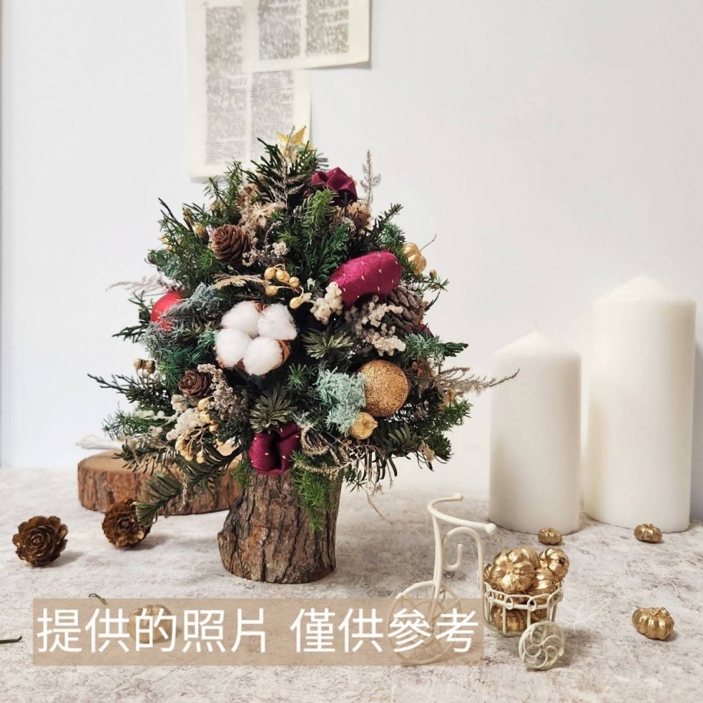 【材料包】抹茶森林聖誕樹50公分｜純樹無裝飾品