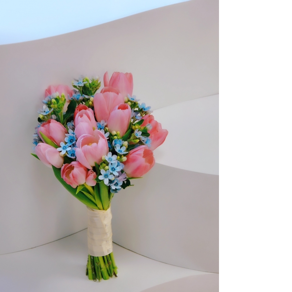 鬱金香藍星捧花