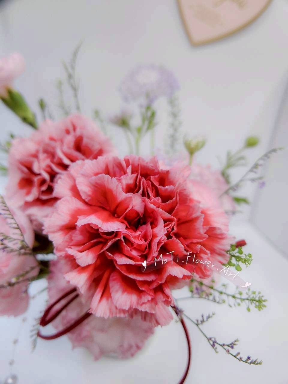 康乃馨桌花 ( S，紅粉色系 )