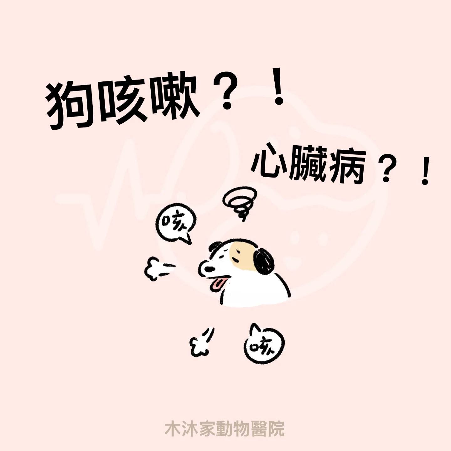 狗狗咳嗽是感冒嗎