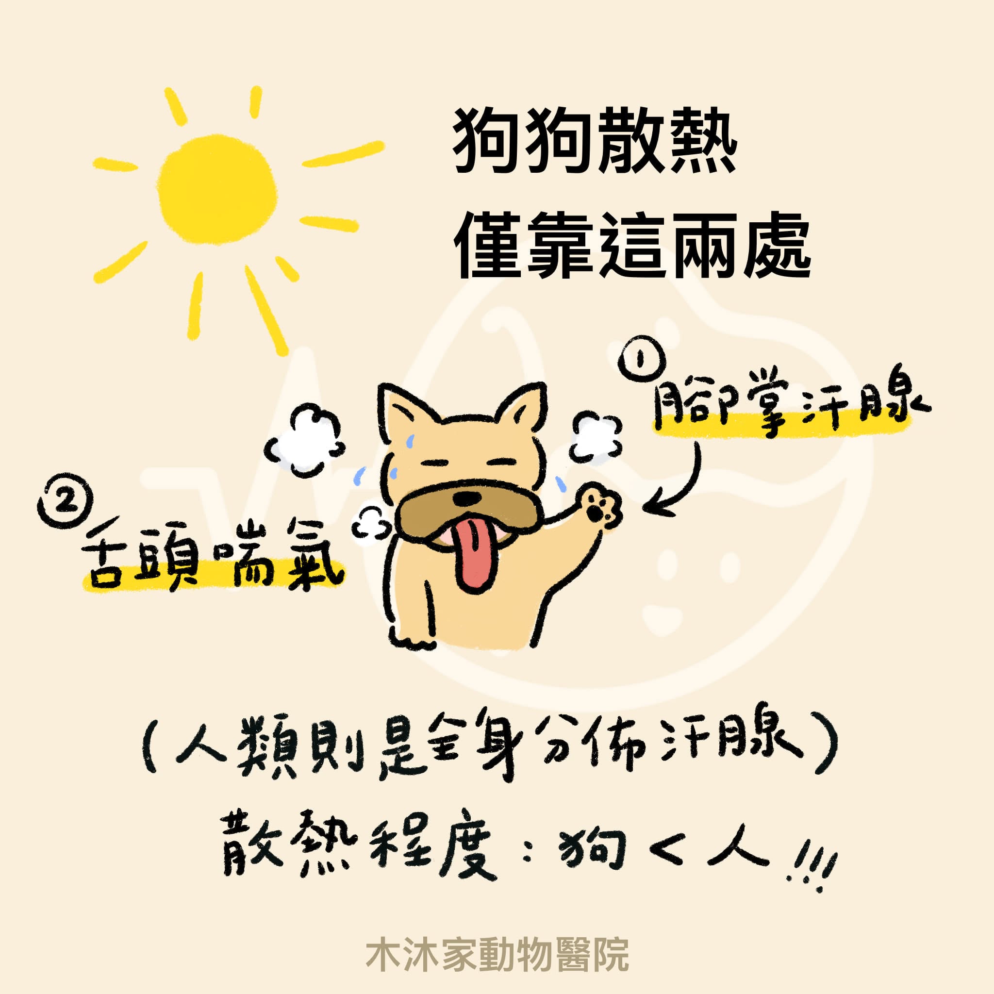 人類與狗狗散熱部位的區別