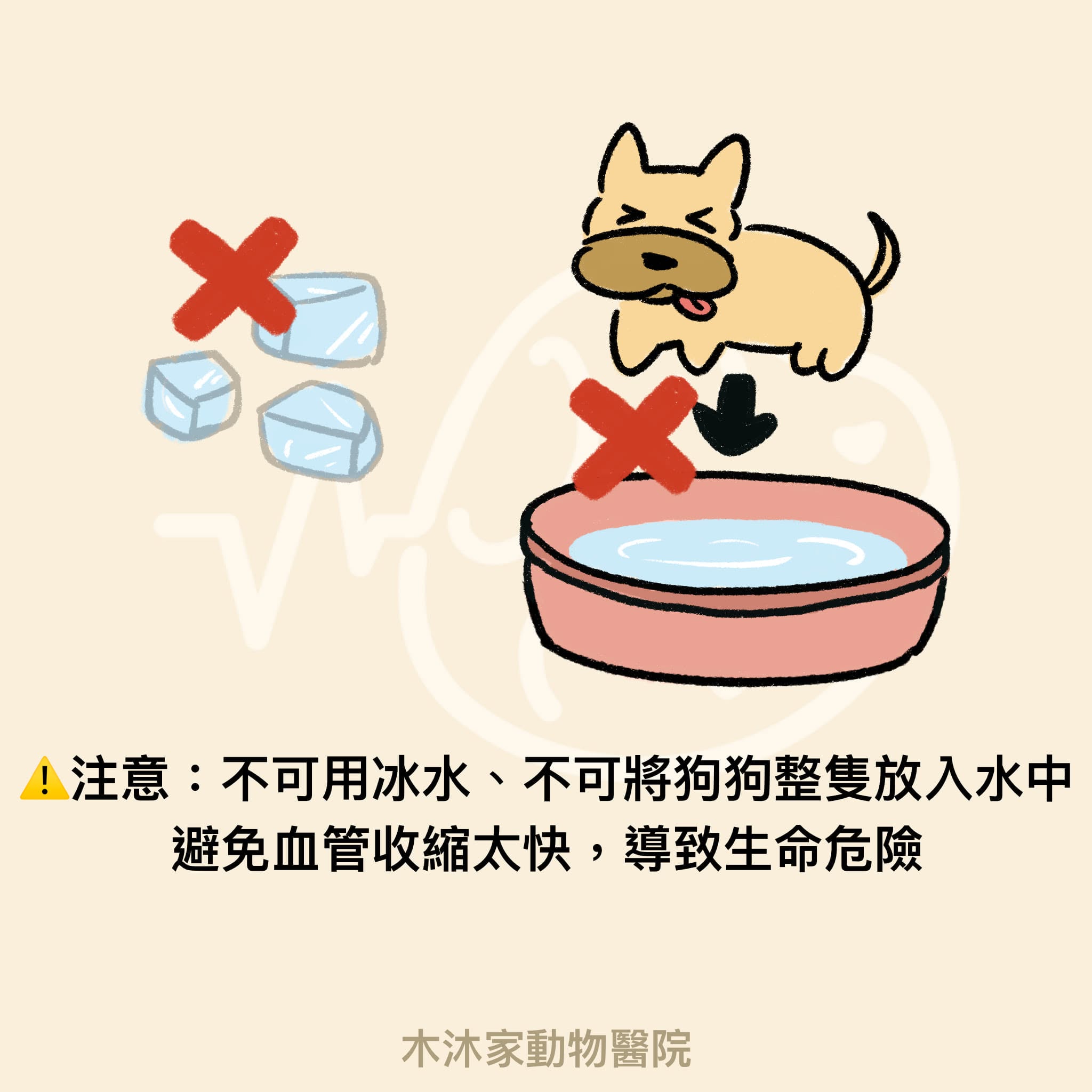 毛孩中暑後急救注意事項