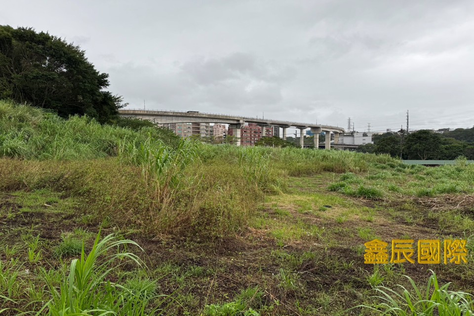 鶯歌農地</BR>地坪：2965.41</BR>售價2億9314萬</BR>面寬</BR></BR>