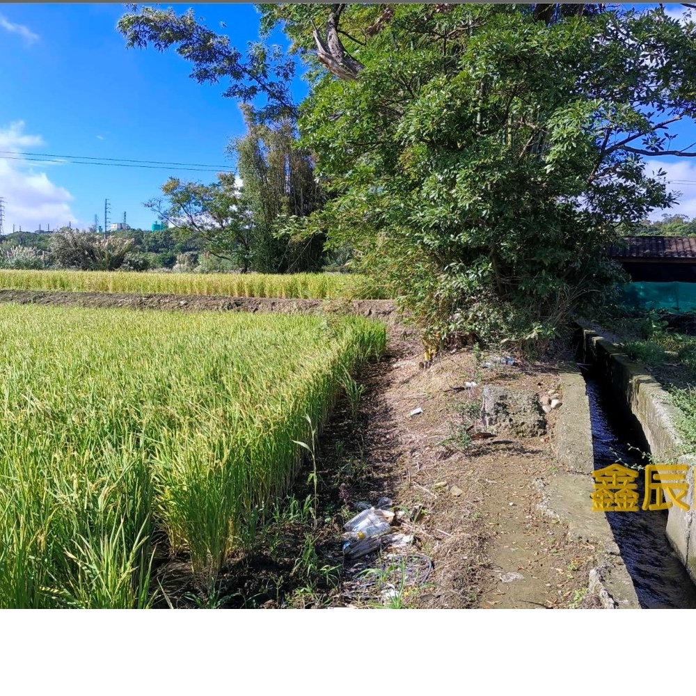 大溪農地</BR>地