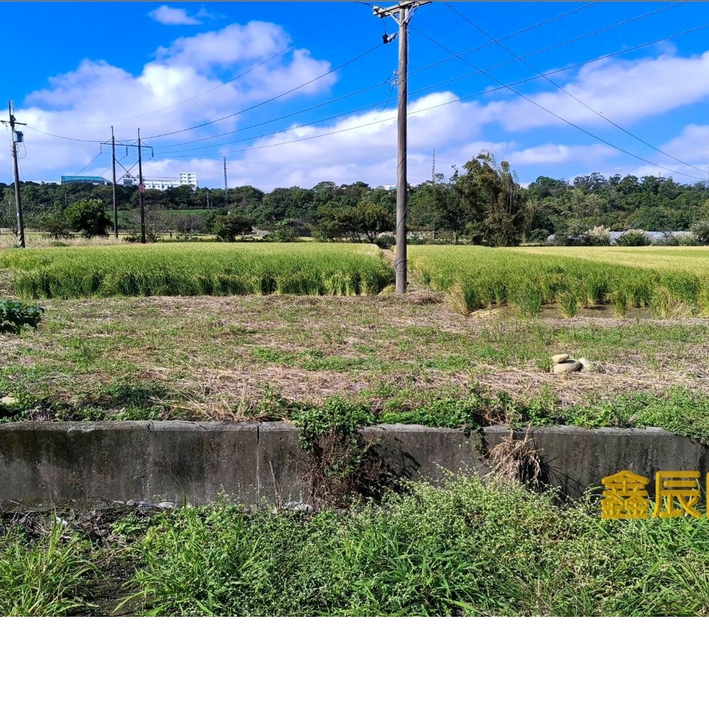 大溪農地</BR>地