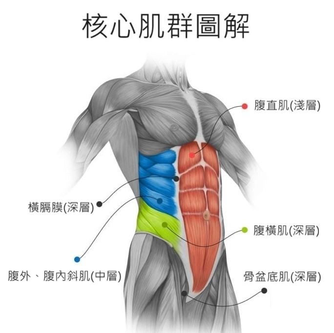 (圖片製作: 唯心運動物理治療所)