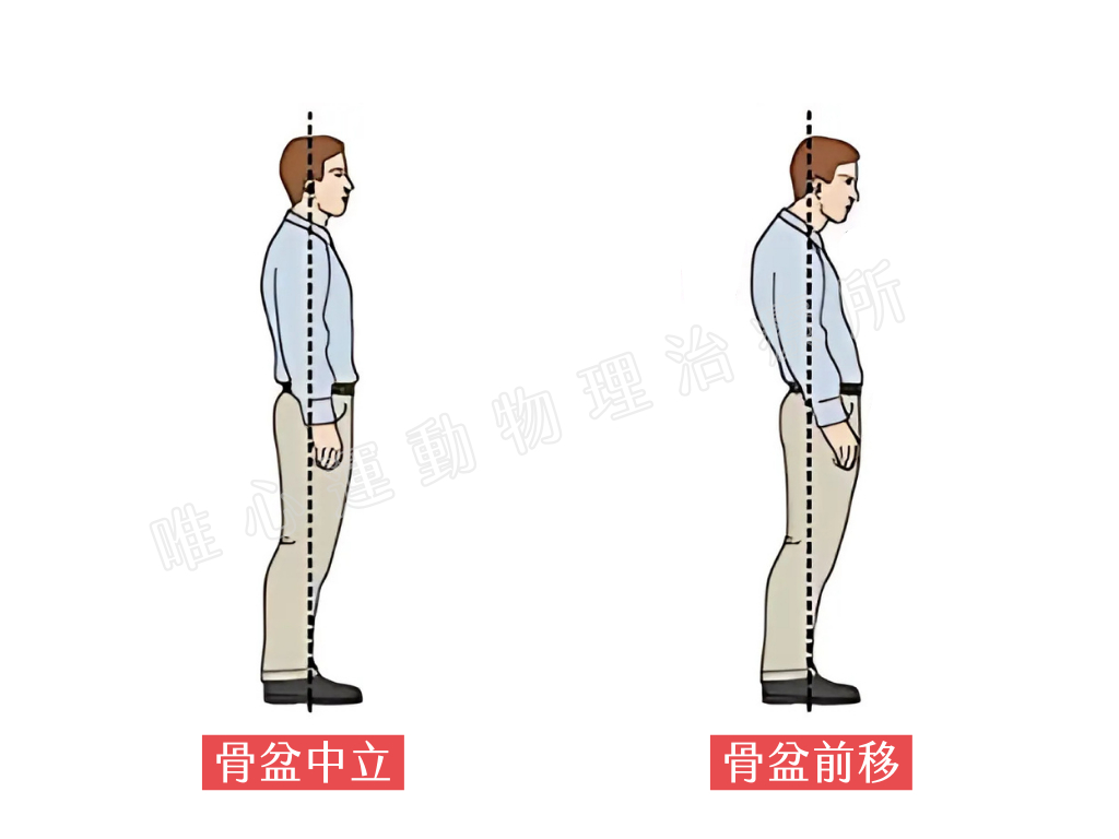 (圖片製作： 唯心運動物理治療所)