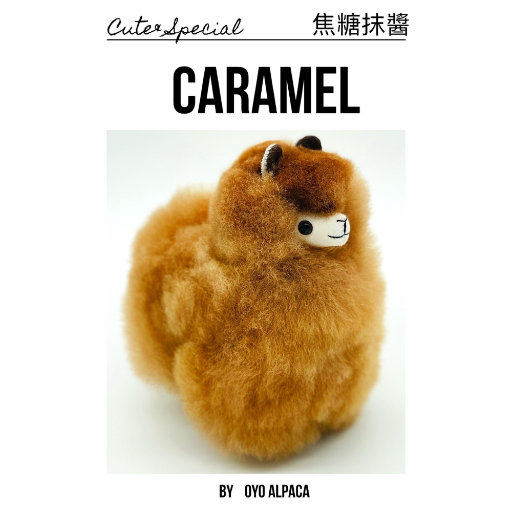 羊駝娃娃-焦糖抹醬Caramel-迷你(17CM)