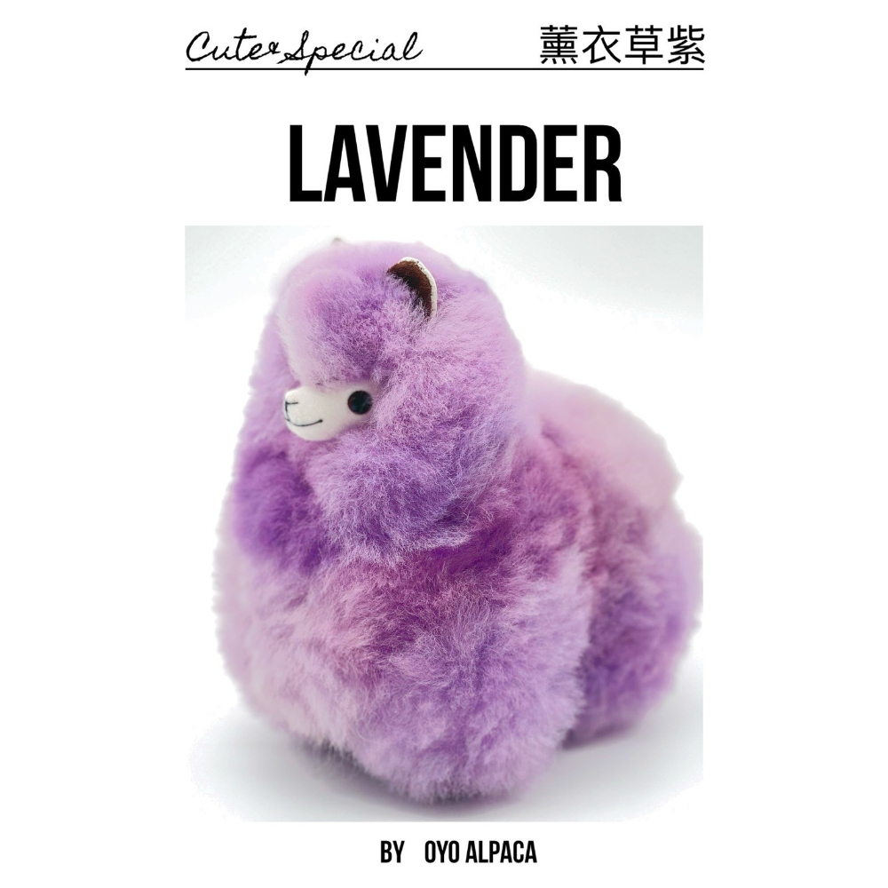 羊駝娃娃-薰衣草紫lavender-迷你(17CM)/缺貨中