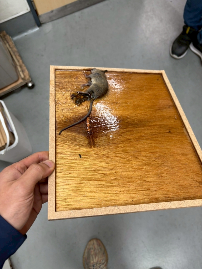 115.01.06消毒防治