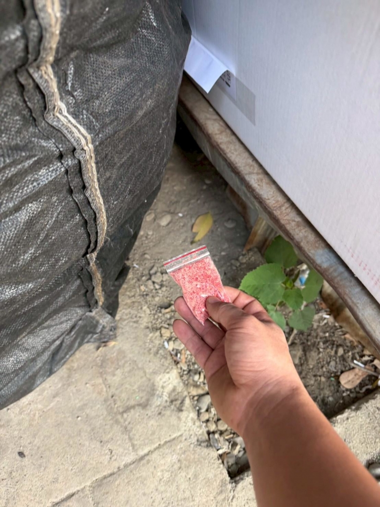 115.03.10 消毒防治