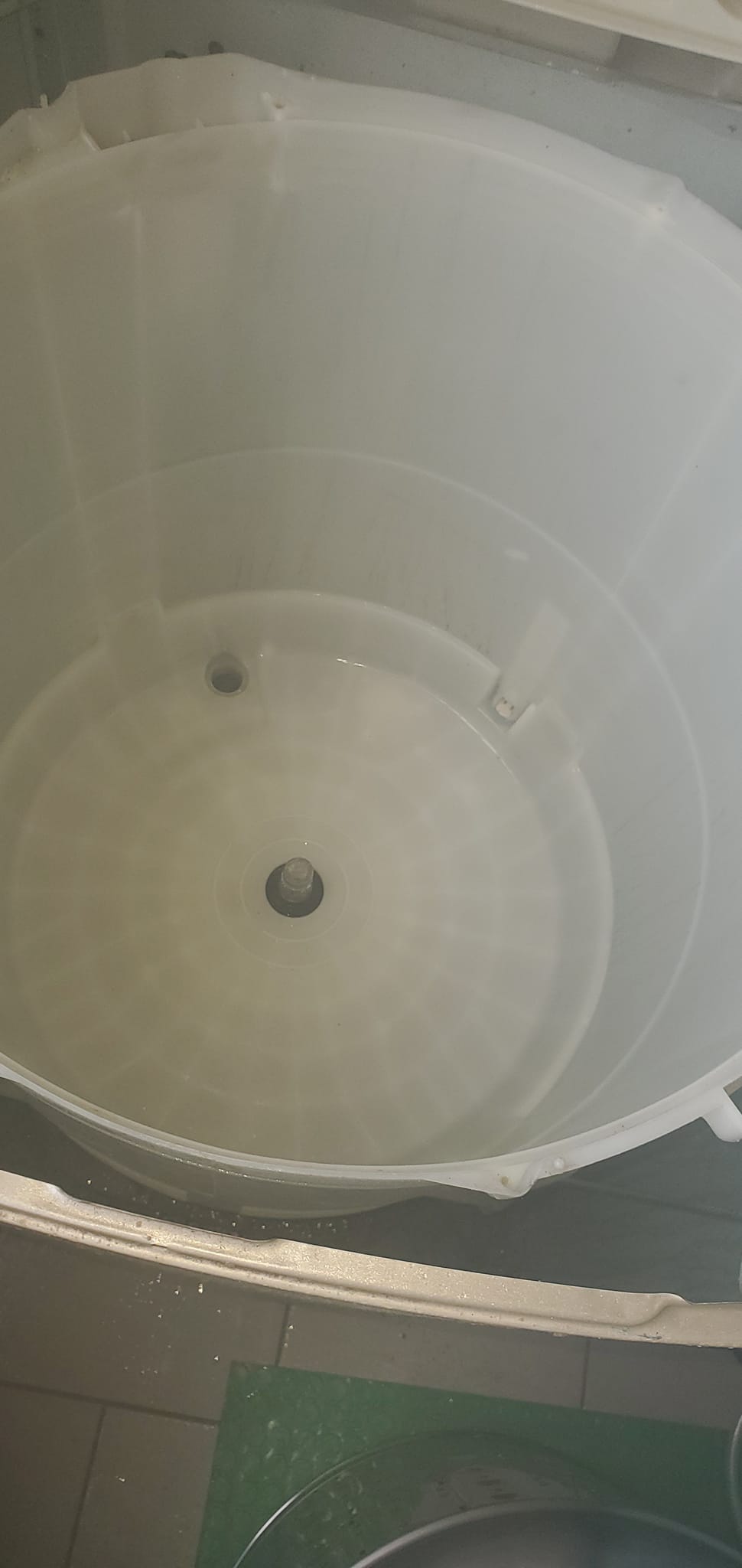 秦小姐/龍潭洗衣機清洗