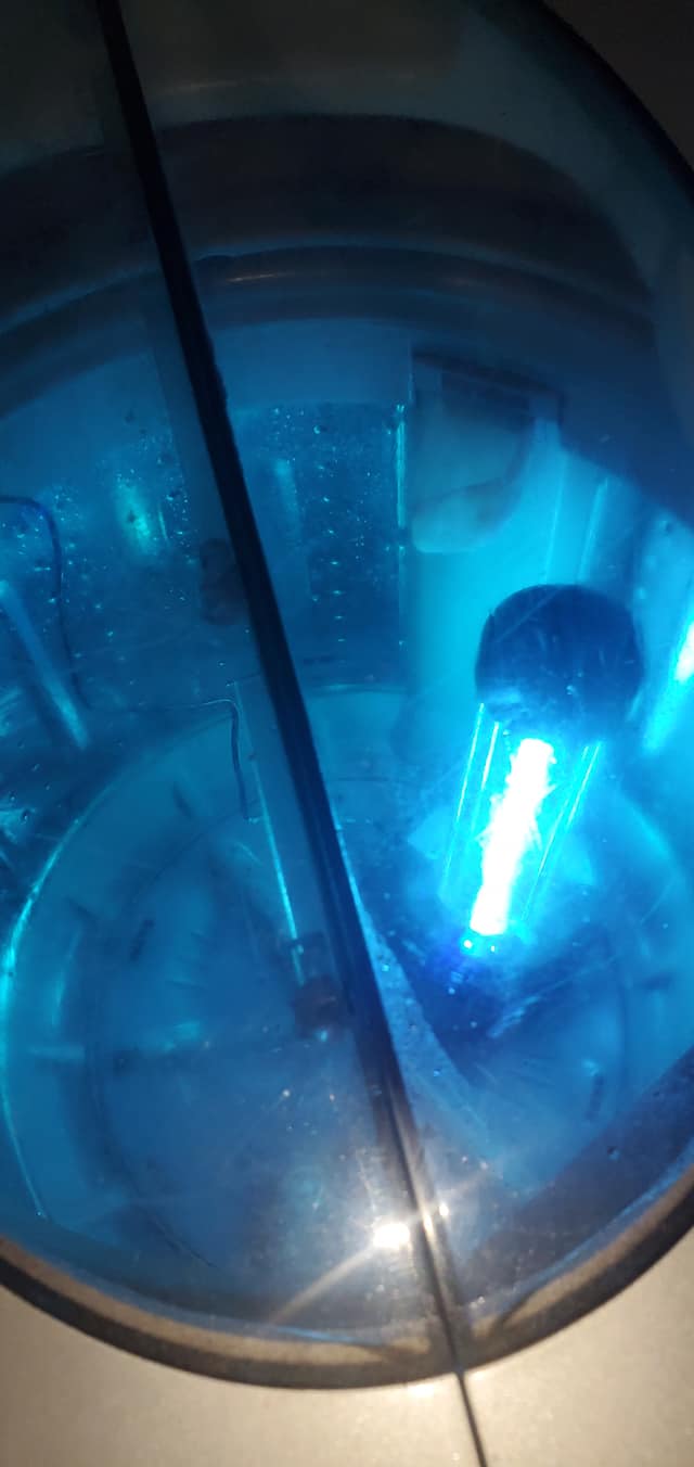 黃小姐/中壢洗衣機清洗