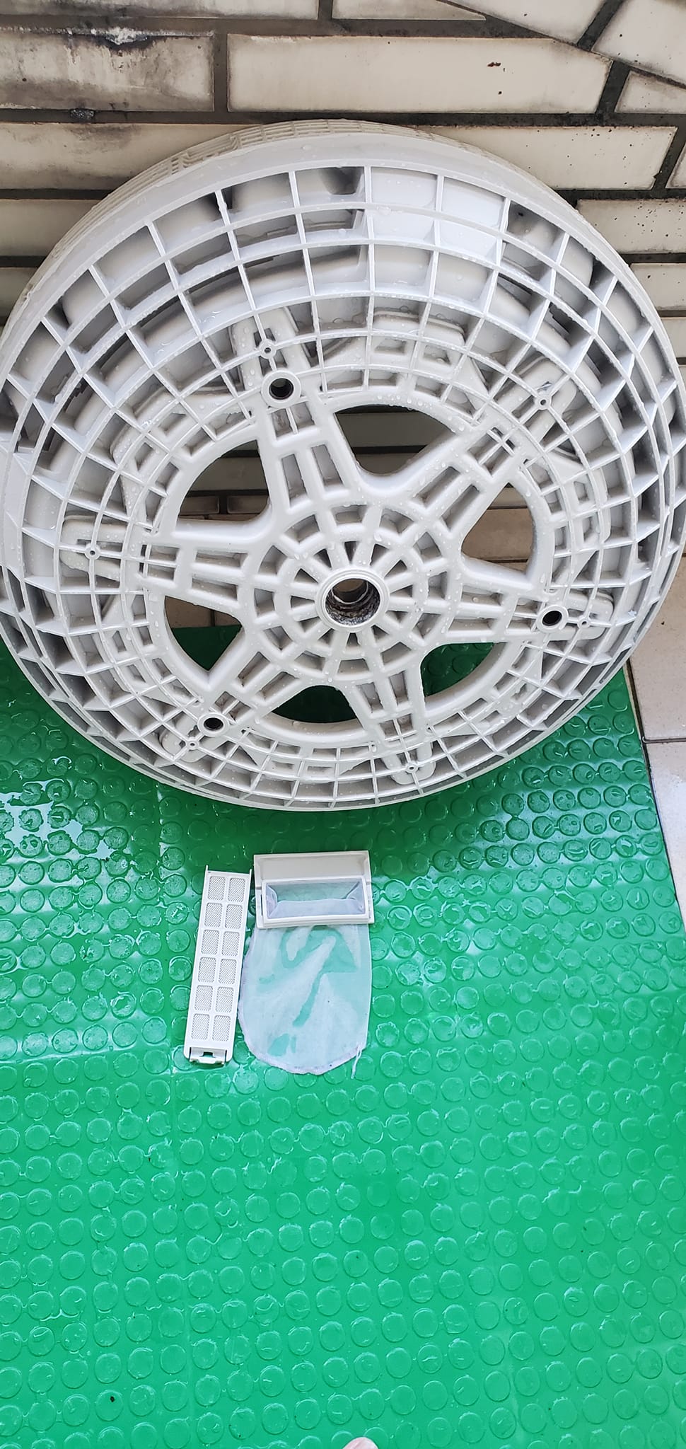 侯小姐/桃園洗衣機清洗