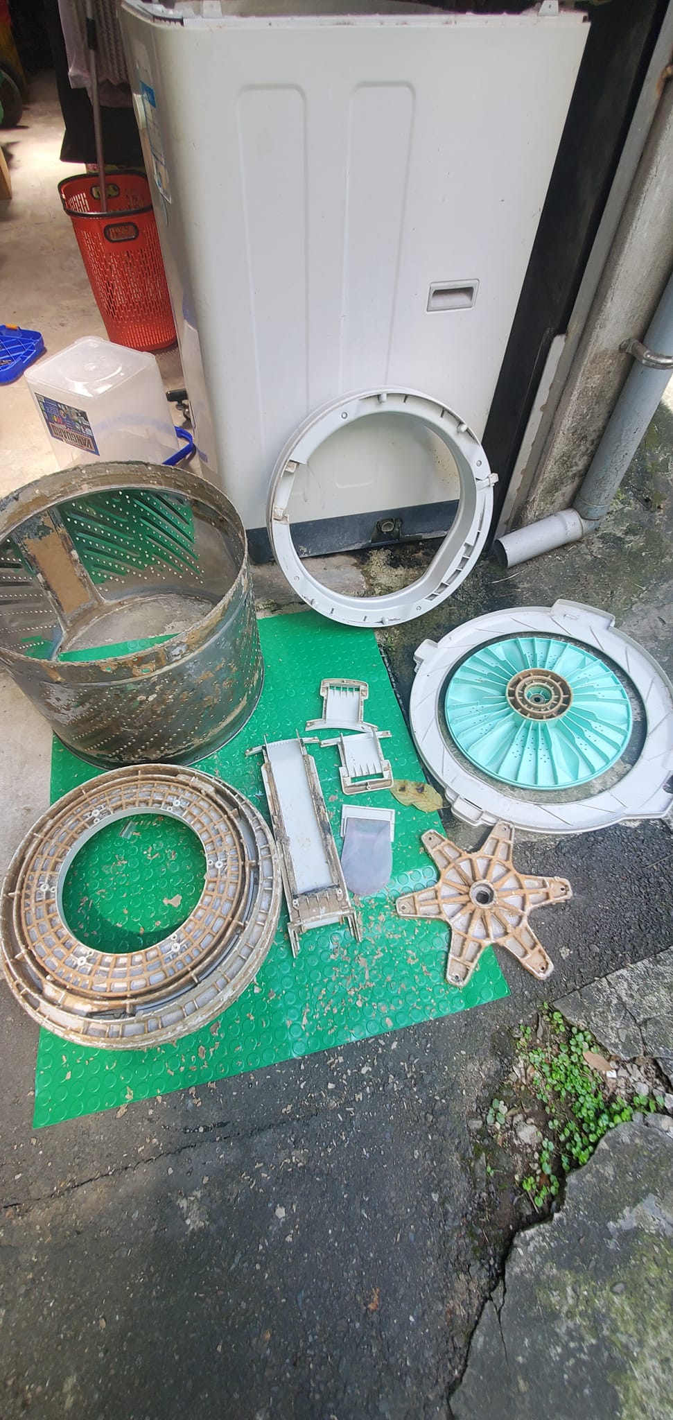 林小姐/八德洗衣機清洗