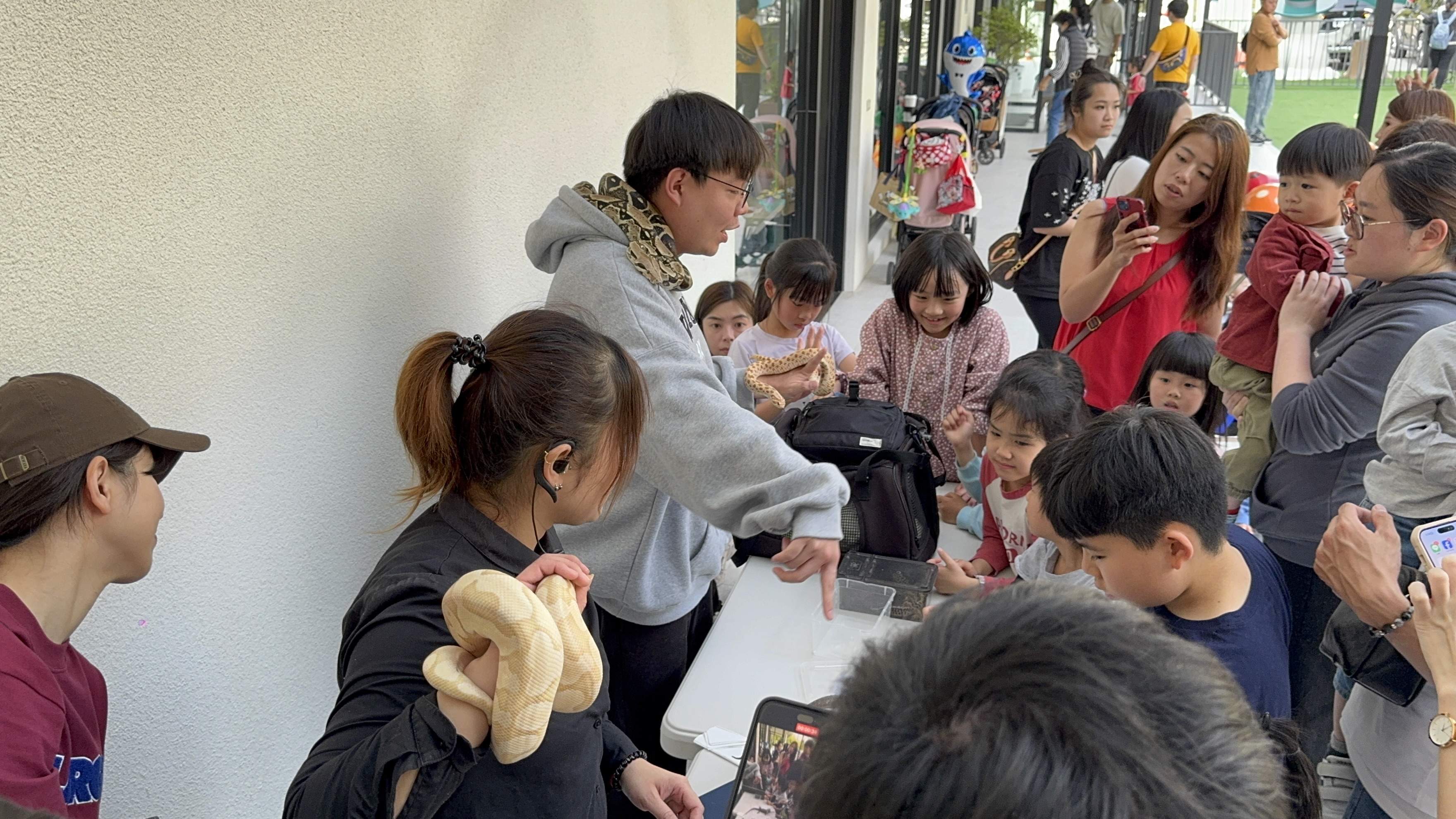 週末爬蟲動物介紹活動照片