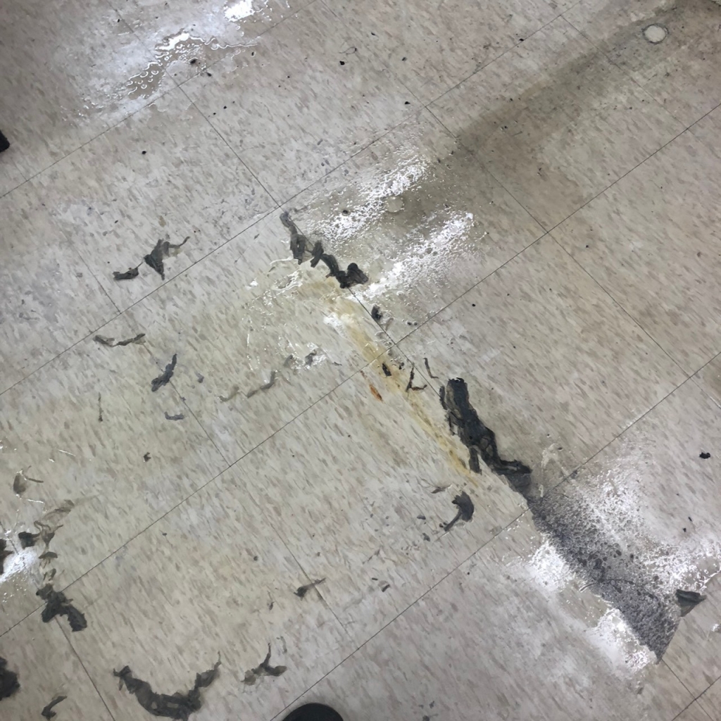 地板打蠟清潔
